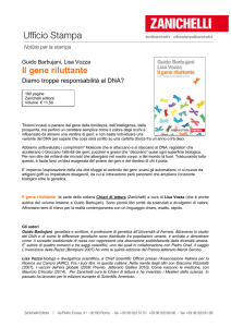 comunicato stampa