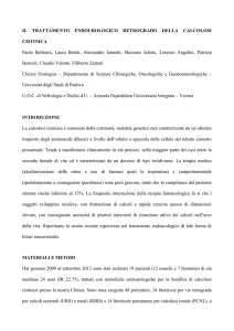 il trattamento endourologico retrogrado della calcolosi cistinica