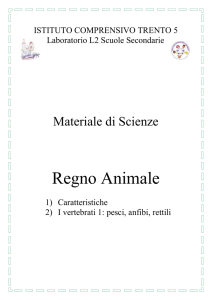 il Regno Animale: i Vertebrati 1