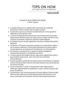 La qualità della carne e del grasso – 2 parte