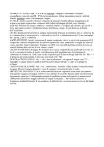 apparato cardio-circolatorio