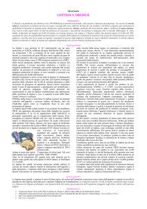 Silvia Iuorio - mediciunisa.it