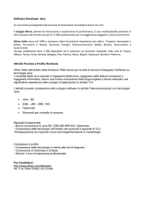 Software Developer Java