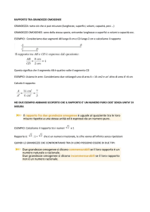 grandezze omogenee, scheda con teoria