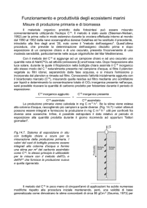 Misure di produzione primaria e di biomassa