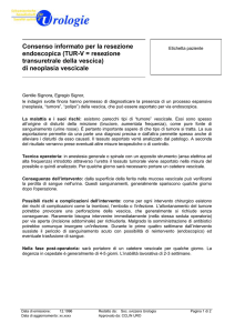 Organigramma - Swiss Urology