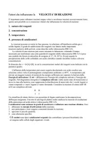 Fattori che influenzano la VELOCITA` DI REAZIONE