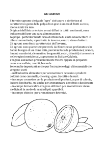 GLI AGRUMI Il termine agrume deriva da “agro” cioè aspro e si