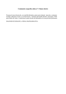 Commento ecografia colica n° 1 fianco sinistro