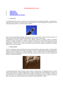 ecoendoscopia (eus)
