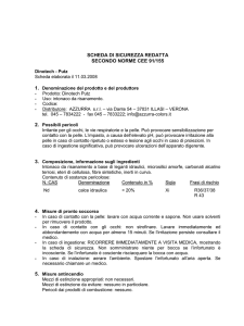 scheda sicurezza