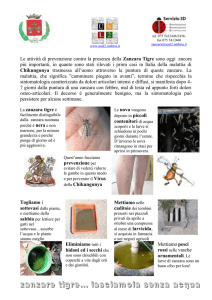 scheda depliant