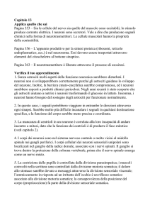 Capitolo_13