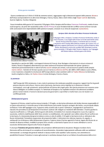 APPUNTI sulla Grande Guerra
