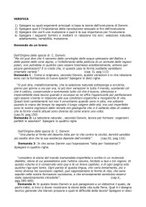 questionario