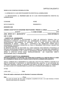 capitolo 3/allegato 3