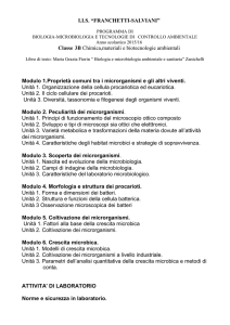 mascolo - Programma 2016 IIIB Chimico