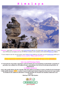 cristalli di sale rosa himalaya halite.