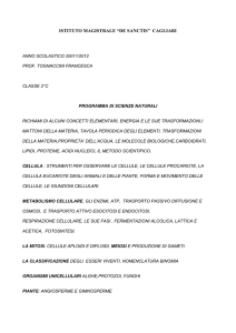 istituto magistrale “de sanctis” cagliari - Liceo "De Sanctis"