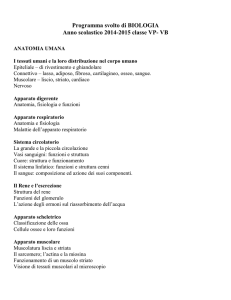 5B_5P_2015_progSvolto
