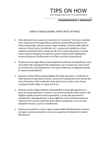 Carico e macellazione – punti critici – 4 parte