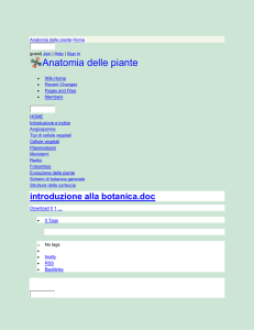 Anatomia delle piante - introduzione alla botanica