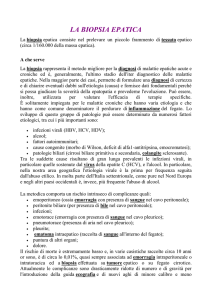 LA BIOPSIA EPATICA