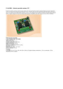C1ALP001 - Scheda controllo tensione 12V