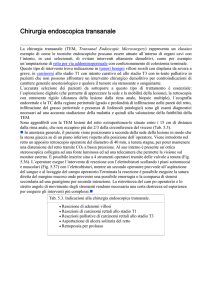 7 a parte: chirurgia endoscopica transanale