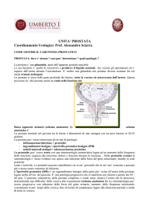 policlinico umberto i