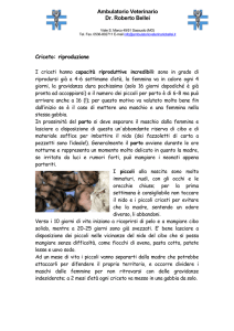 Riproduzione salute