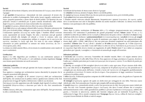 confronto fra le costituzioni di Atene e Sparta - Blog-ER