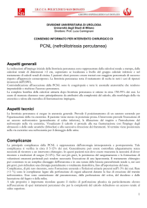Consenso PCNL