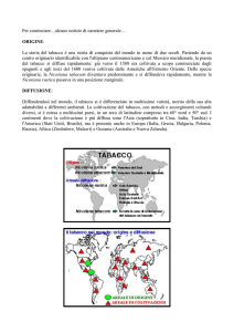 Origine e diffusione del tabacco