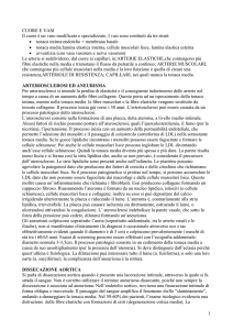 cuore e vasi - Axada Catania