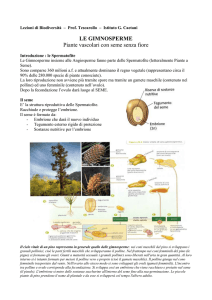 Lezioni di Biodiversità – Prof