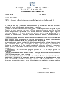 2ae-scienze-naturali