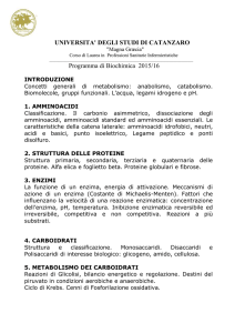 Programma Biochimica Dott.ssa Di Sanzo