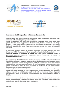 Affidiamoci alle coccinelle