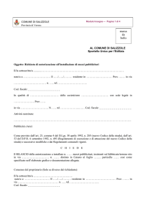 Modulo Insegne - Comune di Salizzole