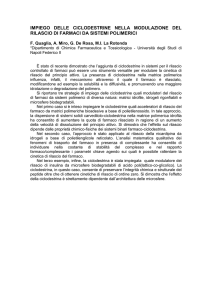 I sistemi monolitici rigonfiabili basati su polimeri reticolati