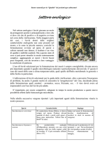 Enologico - Consorzio Catania Ricerche