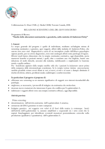 Visualizza la relazione inserita