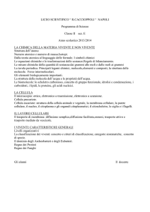 LICEO SCIENTIFICO “ R.CACCIOPPOLI “ NAPOLI Programma di