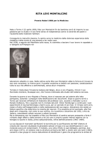 RITA LEVI MONTALCINI