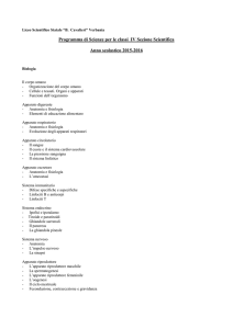 Liceo Scientifico Statale “E