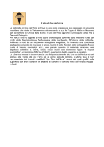 Il sito Dos dell`Arca - Pro Loco Capo di Ponte
