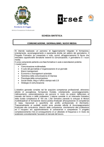 scheda sintetica
