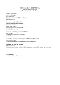 Genetica mendeliana