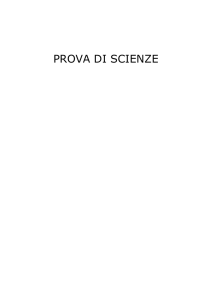 Rilevazione degli apprendimenti